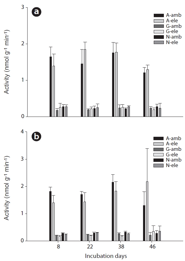 Change in extracellular enzyme activities in surface (a) and rhizome soil (b). Error bar indicates standard deviation (N = 2 or 3). A, aminopeptidase; G, β-glucosidase; N, N-acetylglucosaminidase; amb, 380 ppm CO2; ele, 760 ppm CO2.