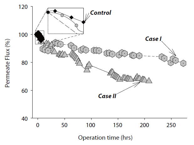 Decline of the permeate fluxes in Cases I and II due to biofilm formation on the reverse osmosis membranes.