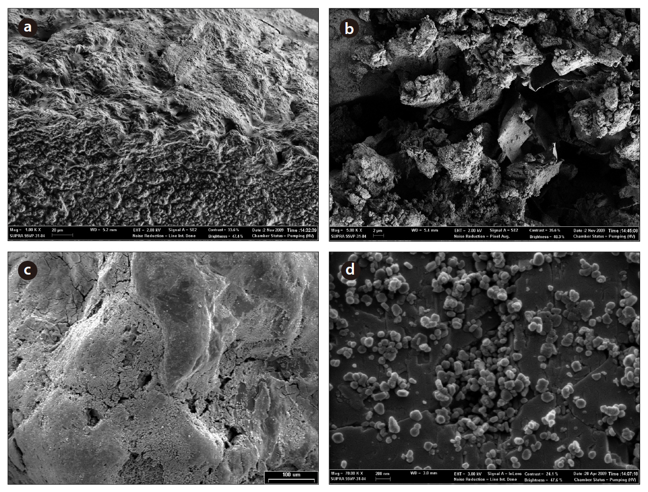 Field emission scanning electron microscope images: (a) cross-sectional view of a calcium alginate bead (bar = 20 ㎛) (b) crosssectional view of layered double hydroxides immobilized on a calcium alginate bead (bar = 2 ㎛) (c) surface view of iron hydroxide-coated sand (bar = 100 ㎛) and (d) surface view of hematite-coated sand (bar = 200 nm).