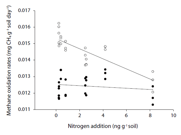 The effects of nitrogen on methane oxidation rates during different seasons (black: summer white: winter).