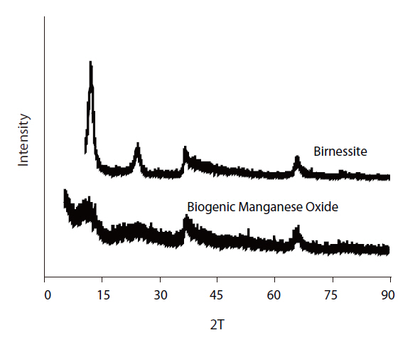 XRD patterns of abiotic and biogenic Mn oxides.