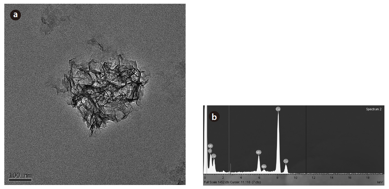 TEM image (a) and EDS (b) of the biogenic Mn oxides formed by P. putida MnB1.