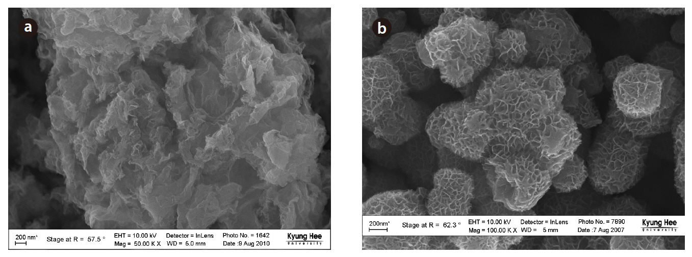 SEM images of the biogenic Mn oxides formed by P. putida MnB1 (a) and abiotic MnO2