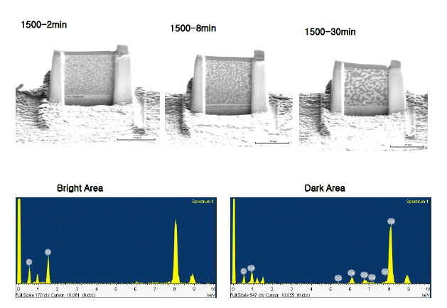 HR-TEM analysis from a rapidly quenched specimen and heattreated specimens of the GAP eutectic composition.