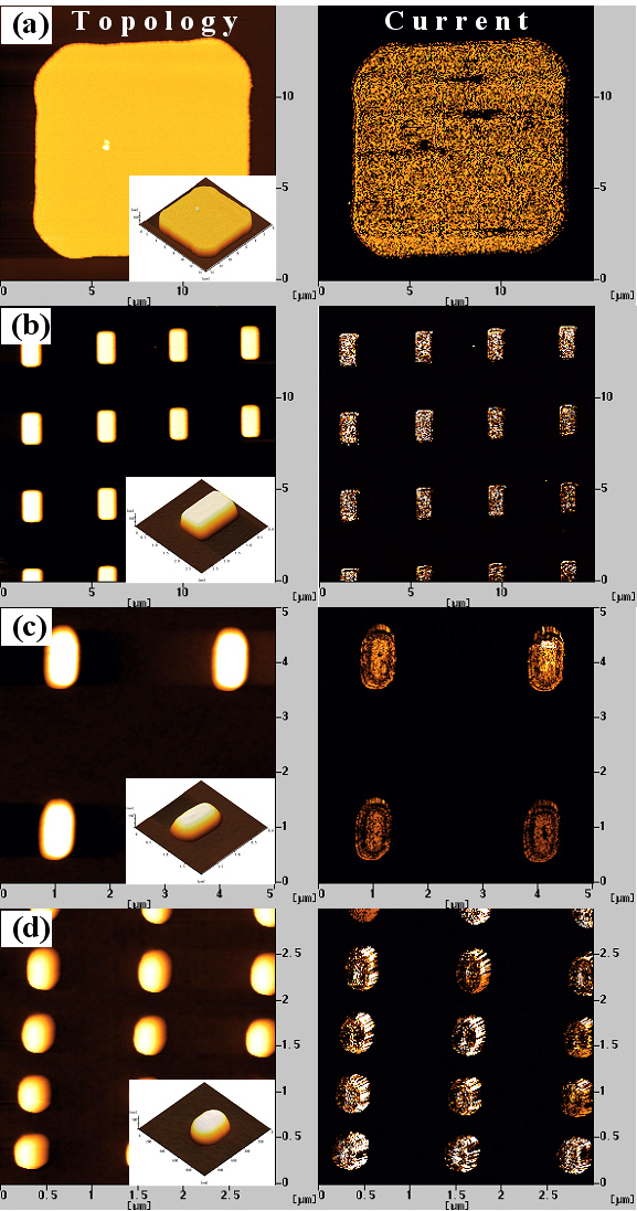 The topological images (left) and the current images at 0.5 Vdc(right) of the (a) 10 ㎛ × 10 ㎛ (b) 1.6 ㎛ × 0.8 ㎛ (c) 0.8 ㎛ × 0.4㎛ and (d) 0.4 ㎛ × 0.2 ㎛ magnetic tunneling junction cells.