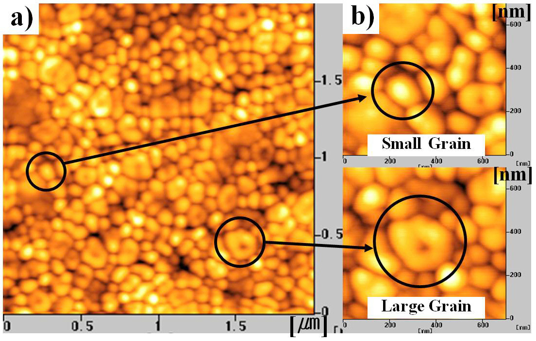 (a) Topological image of selected small and large grains (b) magnified topological images.