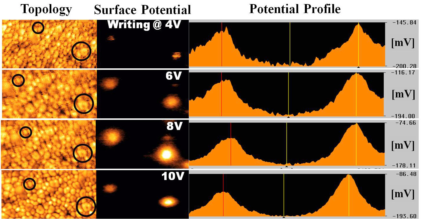 Analysis of the topology and surface potential of PZT grains with Kelvin force microscopy.