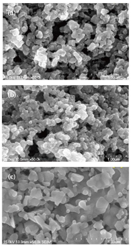 Scanning electron microscope images of the  ZnGa2O4 ZnGa2O4:Mn2+ Cr3+ phosphors (a)  ZnGa2O4 (b)  ZnGa2O4:Mn2+ (c) ZnGa2O4:Cr3+.