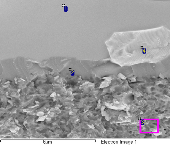 Scanning electron microscope image at the glass/Al2O3 interface.