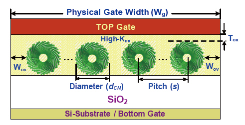 Cross-sectional view of a multi-tube CN-MOSFET. Wov is the overhang of the gate from the edge of CN array.