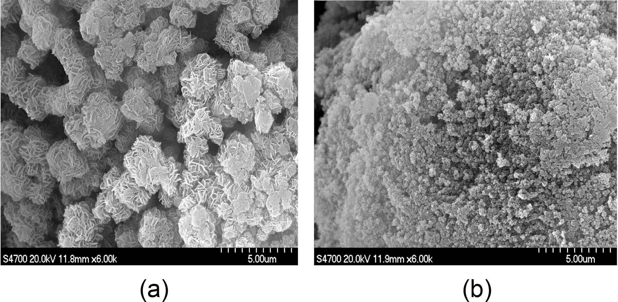 SEM images of PAN obtained from H2O/DMSO ratio of(a) 10/90 and (b) 80/20 in precipitation polymerization at 55oCfor 2 h.