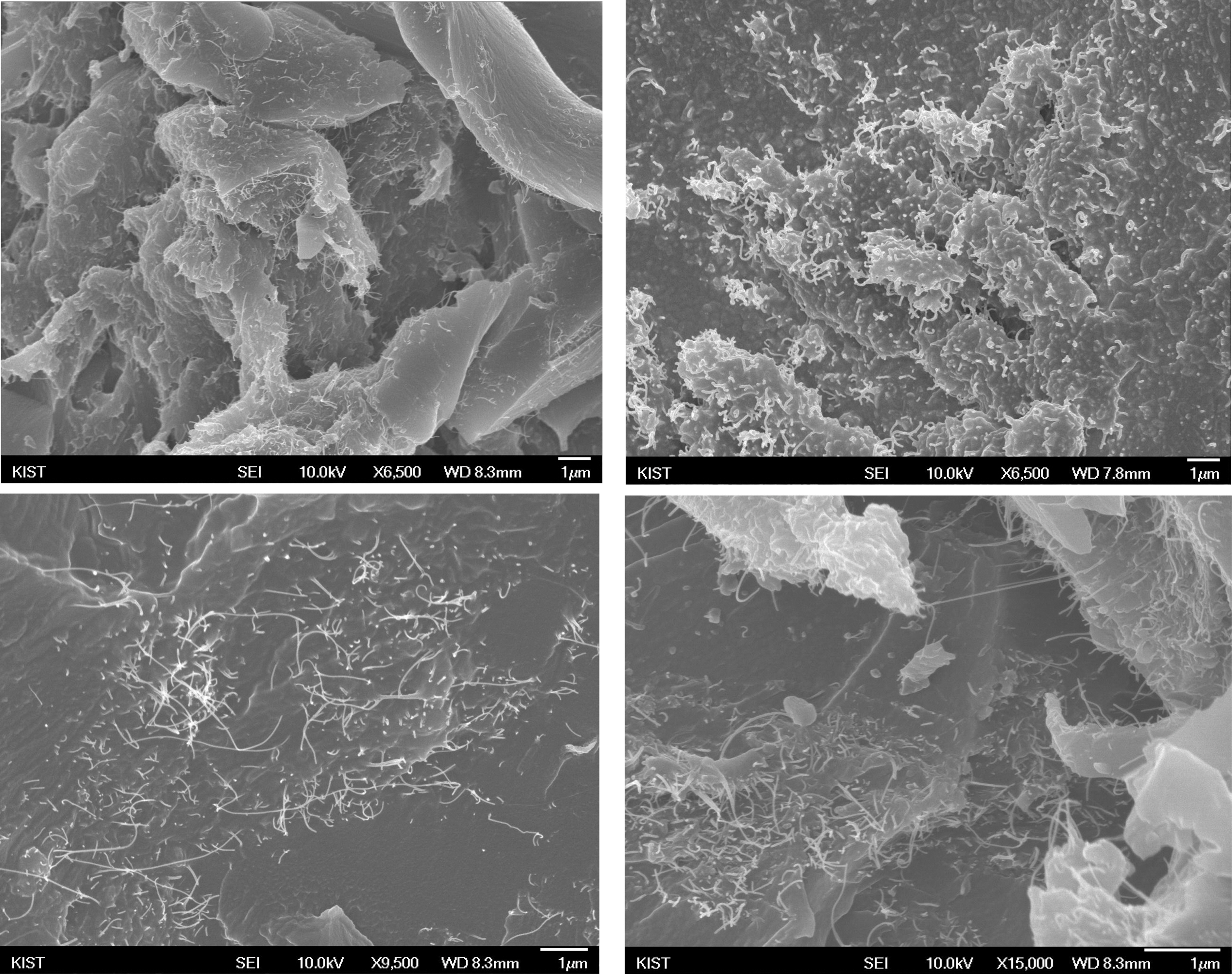 SEM images of epoxy/AEA/a-TWCNTs composite (by SCF process).