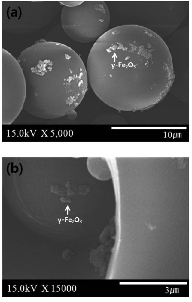 SEM microphotographs of the γ-Fe2O3 microcapsules; (a) external structure and (b) internal structure.