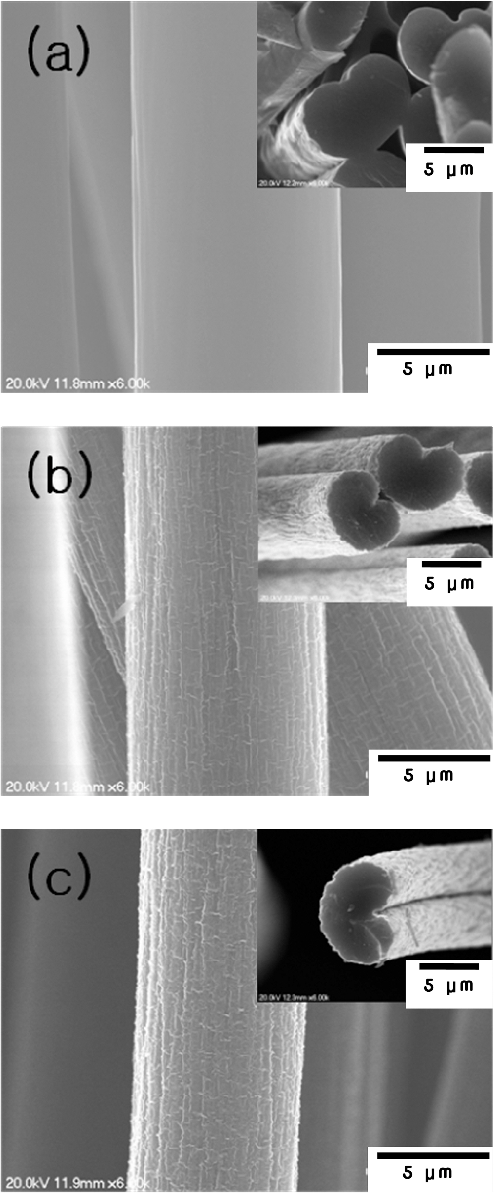 Scanning microscope images of carbon fibers with (a)thermal treatment at 220oC for 30 min and additional plasmatreatment for (b) 5 min and (c) 15 min. The inset images are forcross-section of the fibers.
