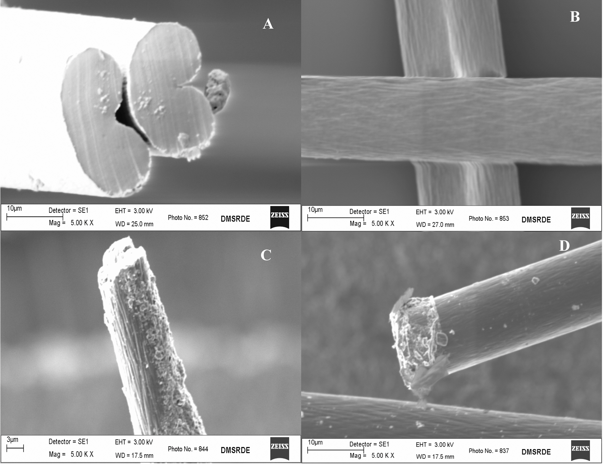 SEM images of F-plain F-carbonized (850oC 30 minunder N2 flow) F-17 (activated at 900oC 90 min in CO2 atmosphere)and F-19 (activated at 950oC 30 min in CO2 atmosphere). SEM: scanning electron microscopy.