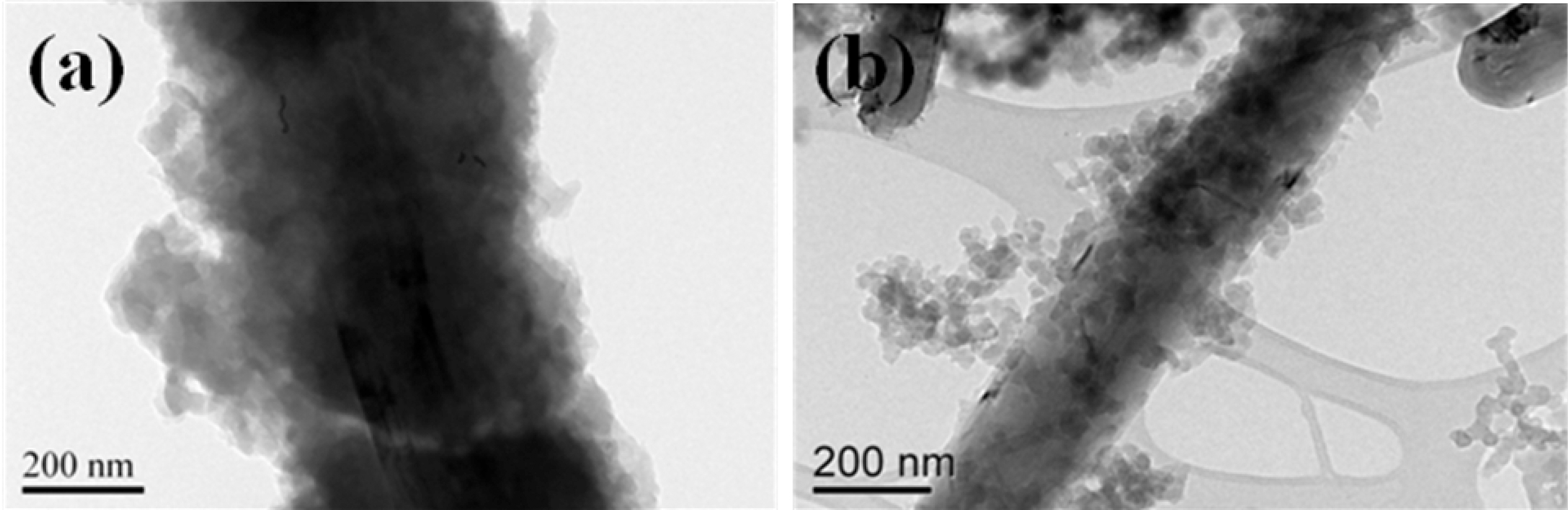 Field emission-transmission electron microscopy microphotographs of (a) PANI/MWCNT and (b) PPy/MWCNT. PANI: polyanilineMWCNT: multi-walled carbon nanotube PPy: polypyrrole.