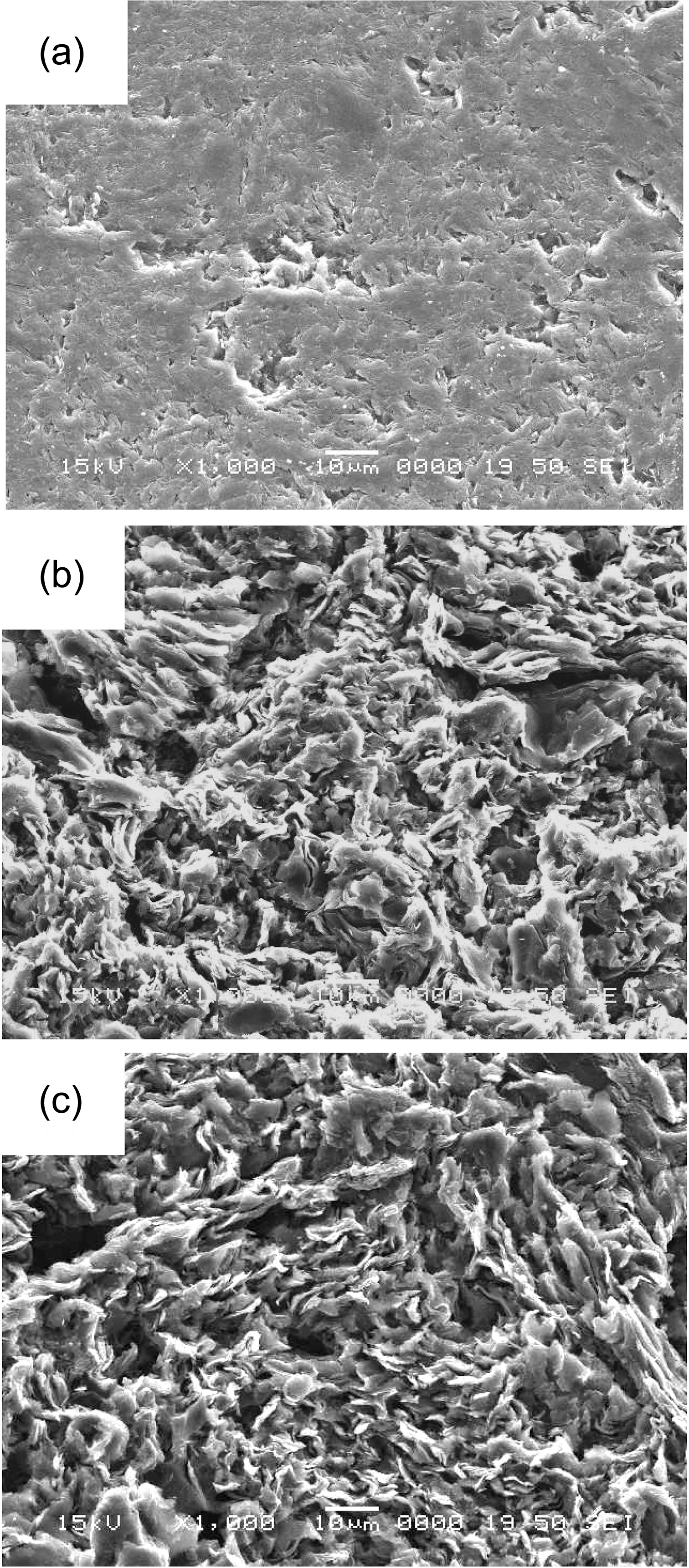 SEM micrographs (×1000) showing the variations in surfacestructures of IG-110 as a function of oxidation degrees; 0%(a) 5% (b) and 10% (c) weight loss respectively. SEM: scanningelectron microscope.