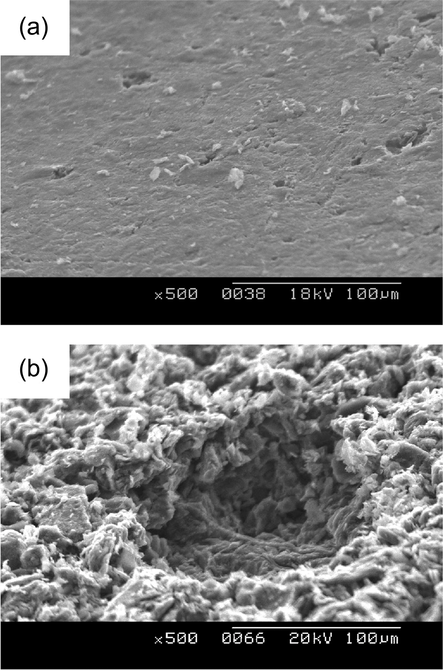 SEM micrographs (×500) showing the pore structures ofIG-430 with 0% (a) and 5% (b) weight loss respectively. SEM:scanning electron microscope.