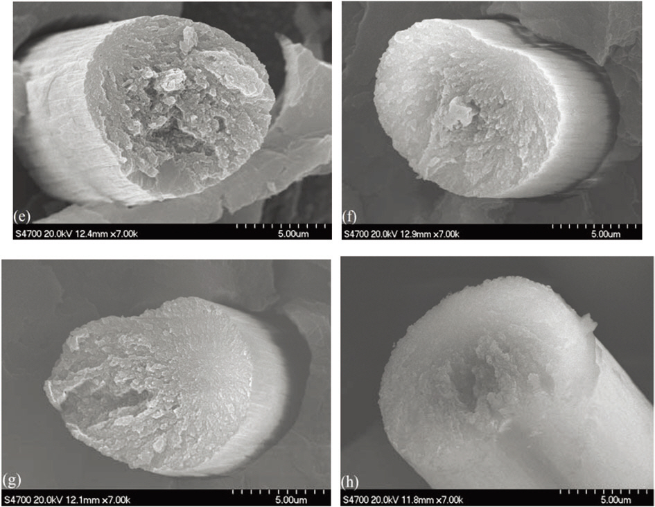 Scanning electron microscope images of pre-oxidized polyacrylonitrile fibers at different negative stretching ratios: (e) -2 (f ) -4 (g) -6 and (h) -8%.