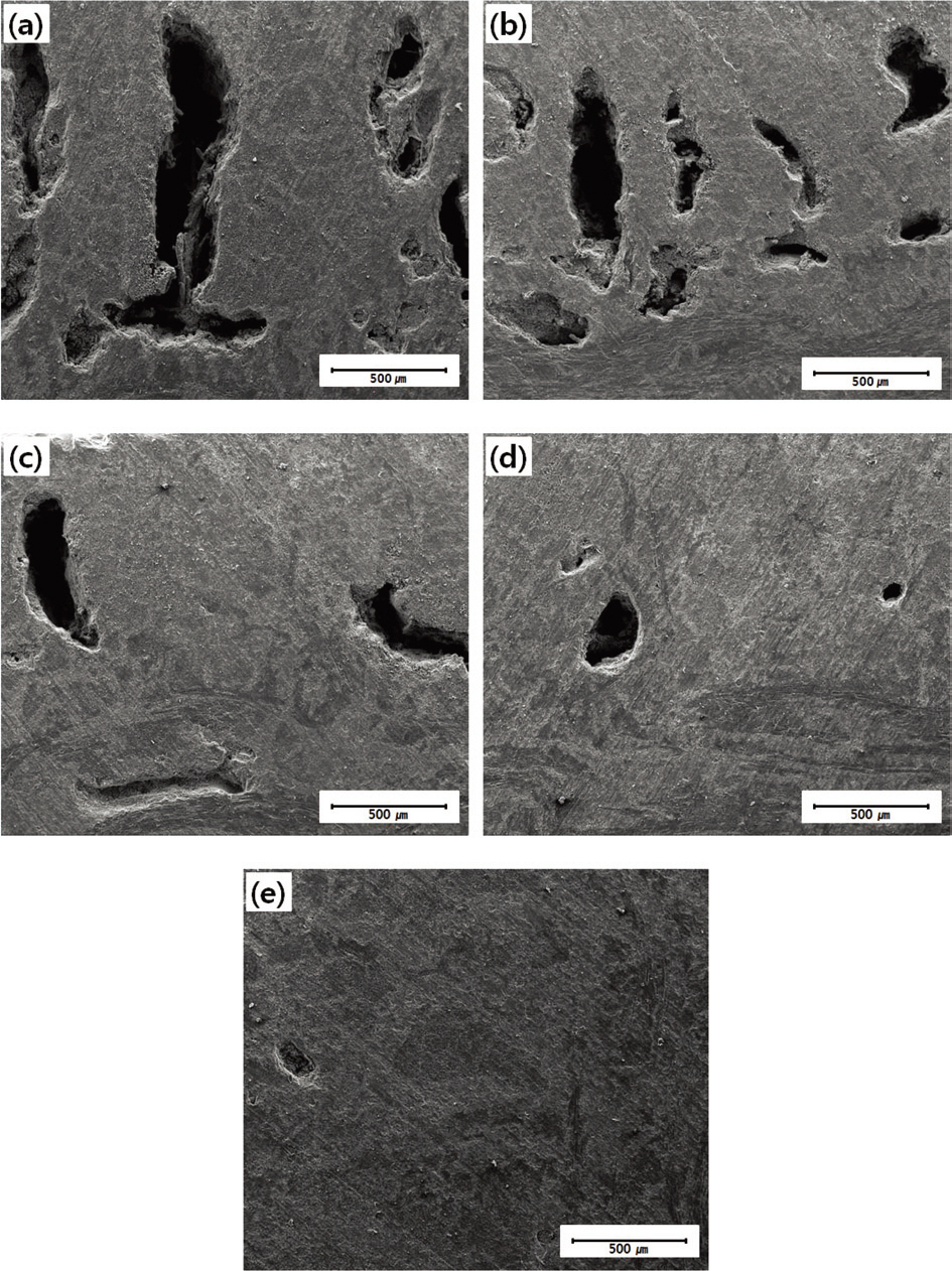 Microstructures of the prepared samples: (a) BN00 (b) BN01 (c) BN03 (d) BN05 and (e) BN10.