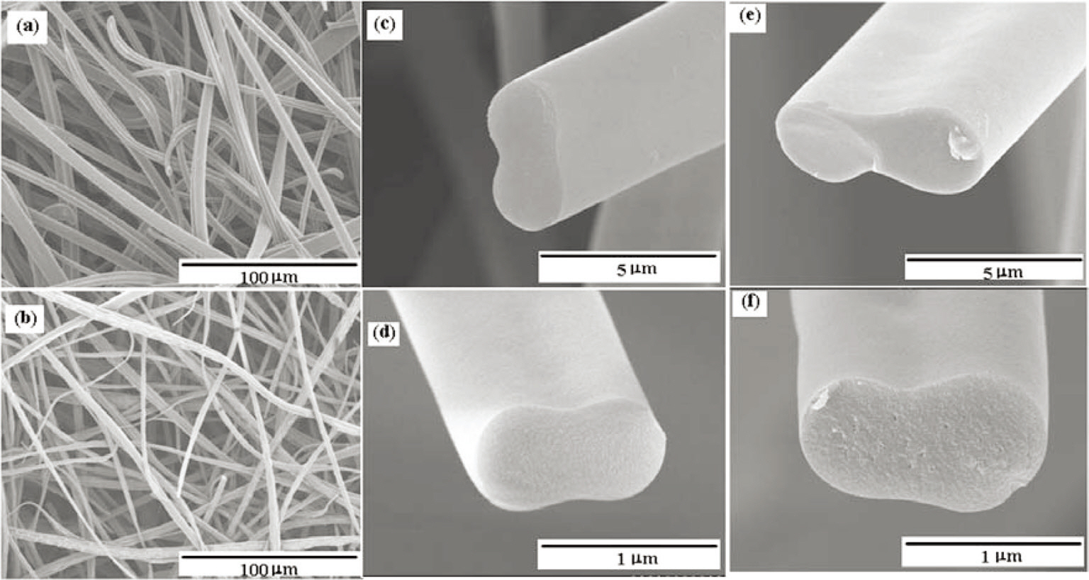 Scanning electron microscope microphotographs of the Pitch A (a c e) and Pitch B (b d f ) carbonized fiber webs (a b) stabilized (c d) and carbonized fibers (e f ).