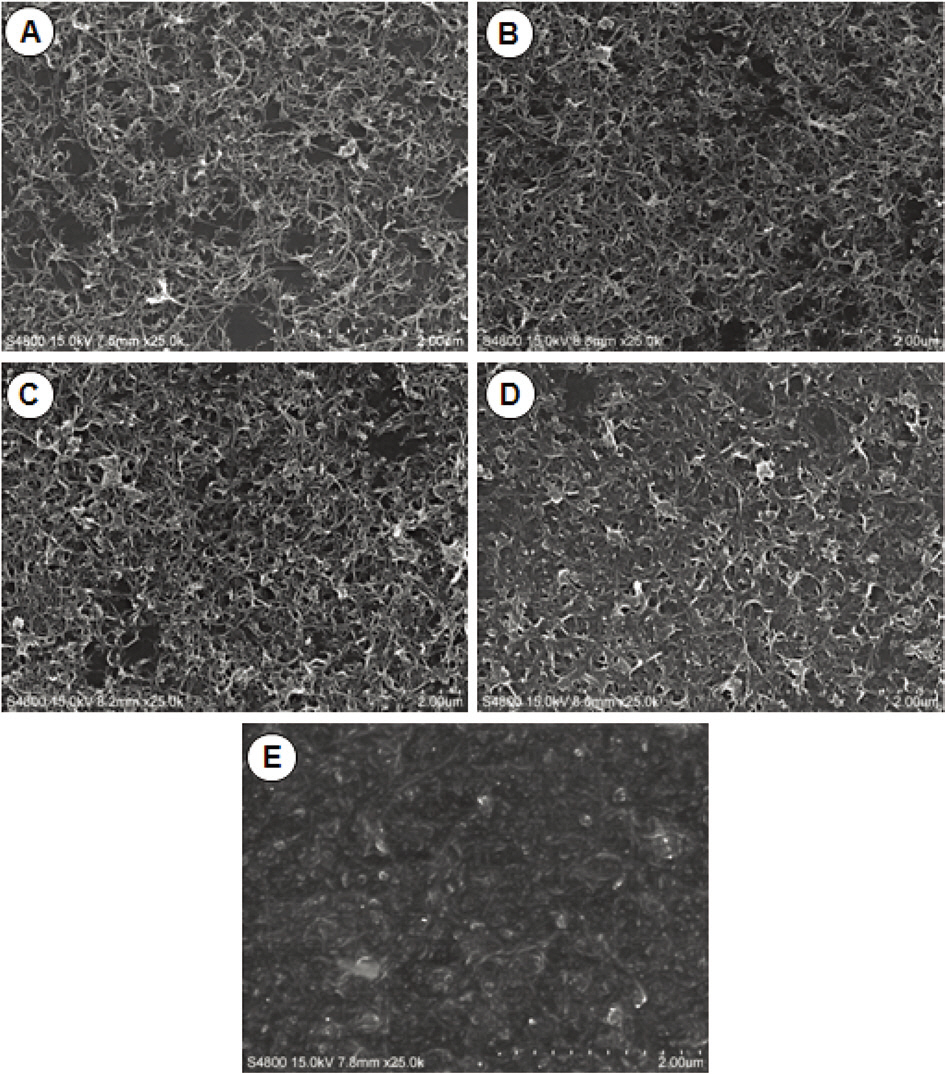 Scanning electron microscopy images of few-walled carbon nanotube/epoxy resin hybrid films containing various amounts of epoxy binder ((a) 0 (b) 10 (c) 25 (d) 50 and (e) 75 wt%).