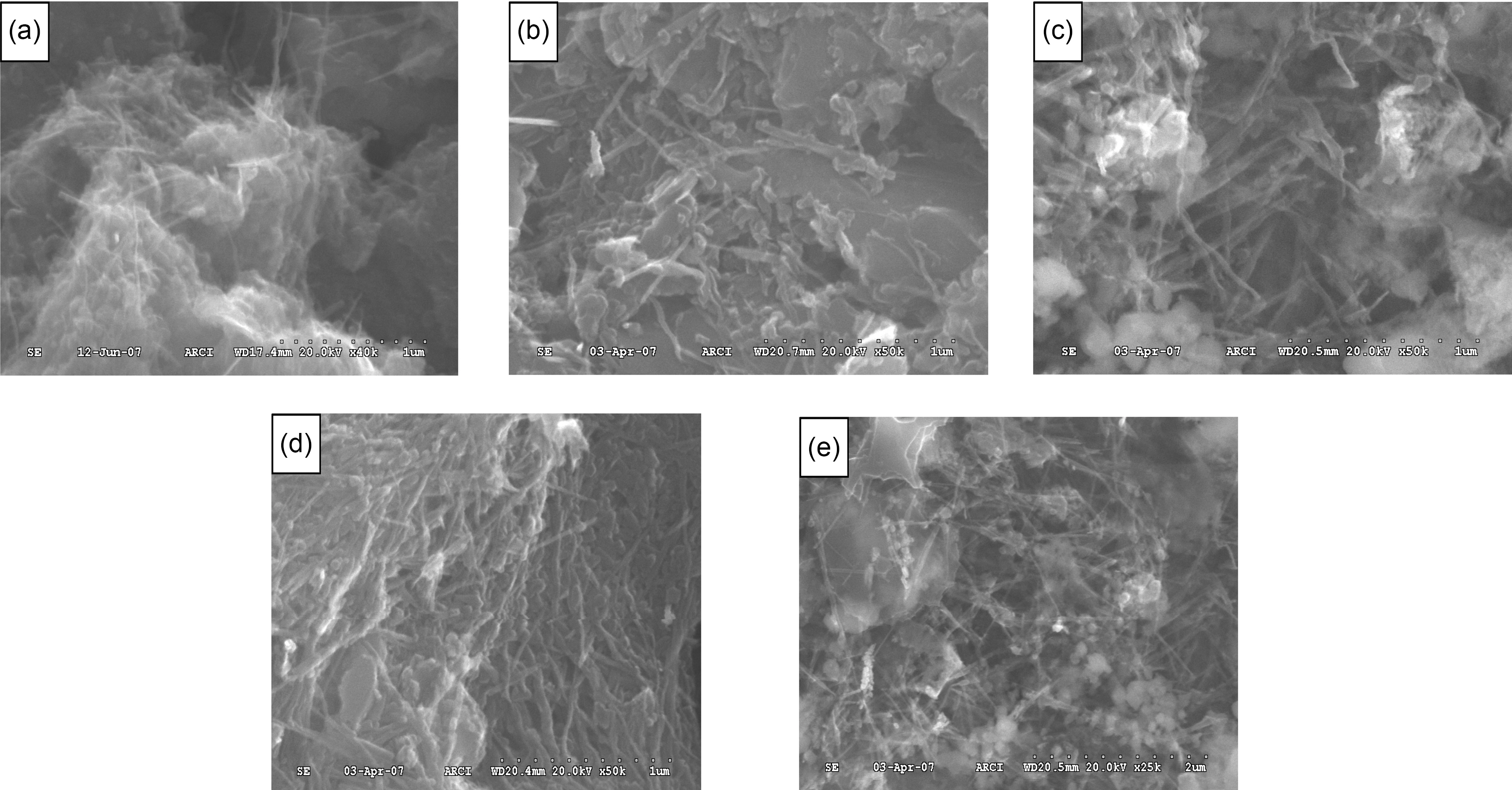 SEM images of (a) chemically treated (CT) CNT CT annealed at (b) 450oC (c) 550oC (d) 650oC and (e) 750oC.