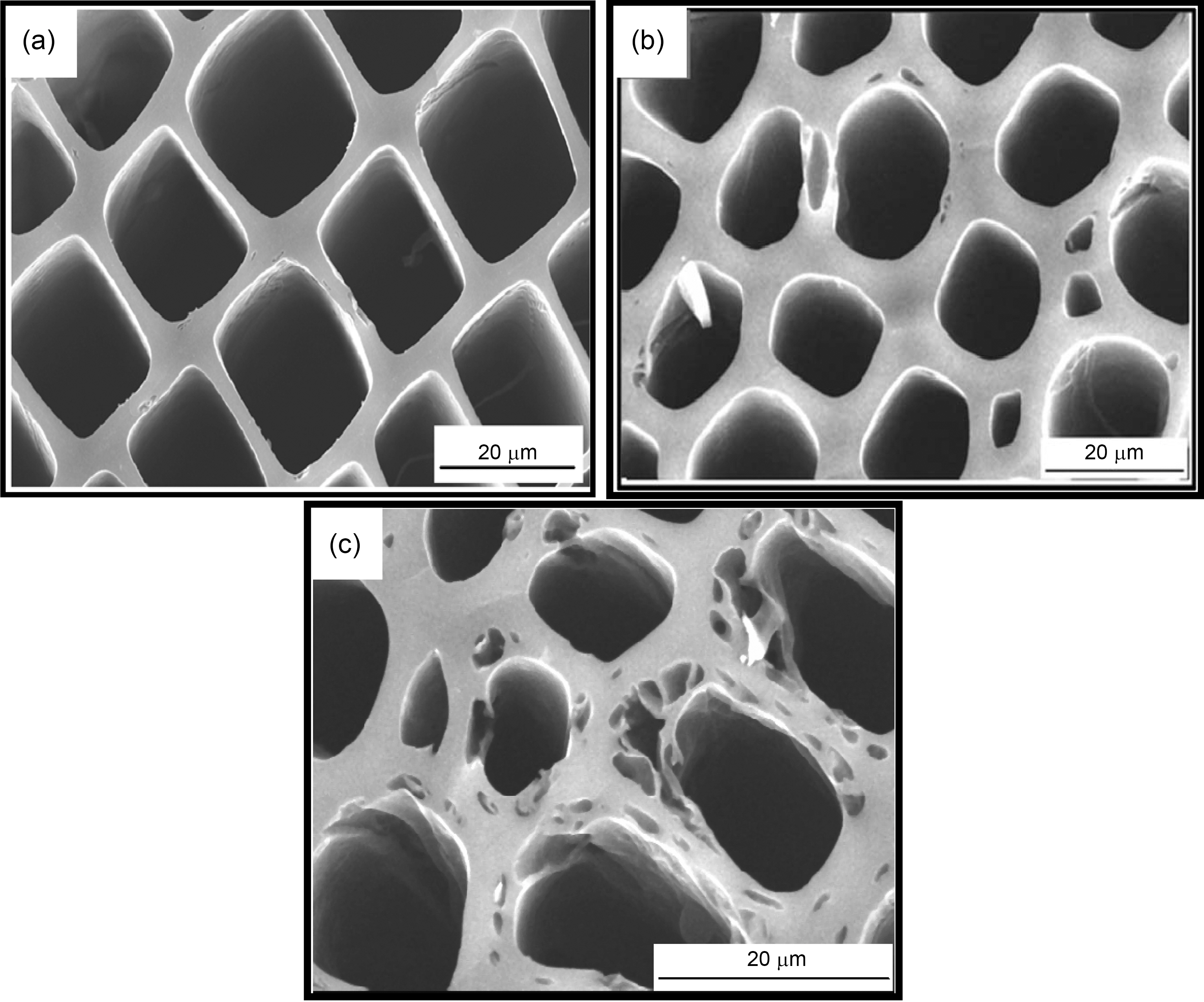 Scanning electron micrograph of (a) carbonized pine wood (b) steam activated carbonized pine wood having steam rate 0.1 ml/min and (C) steam activated carbonized pine wood having steam rate 0.7 ml/min.