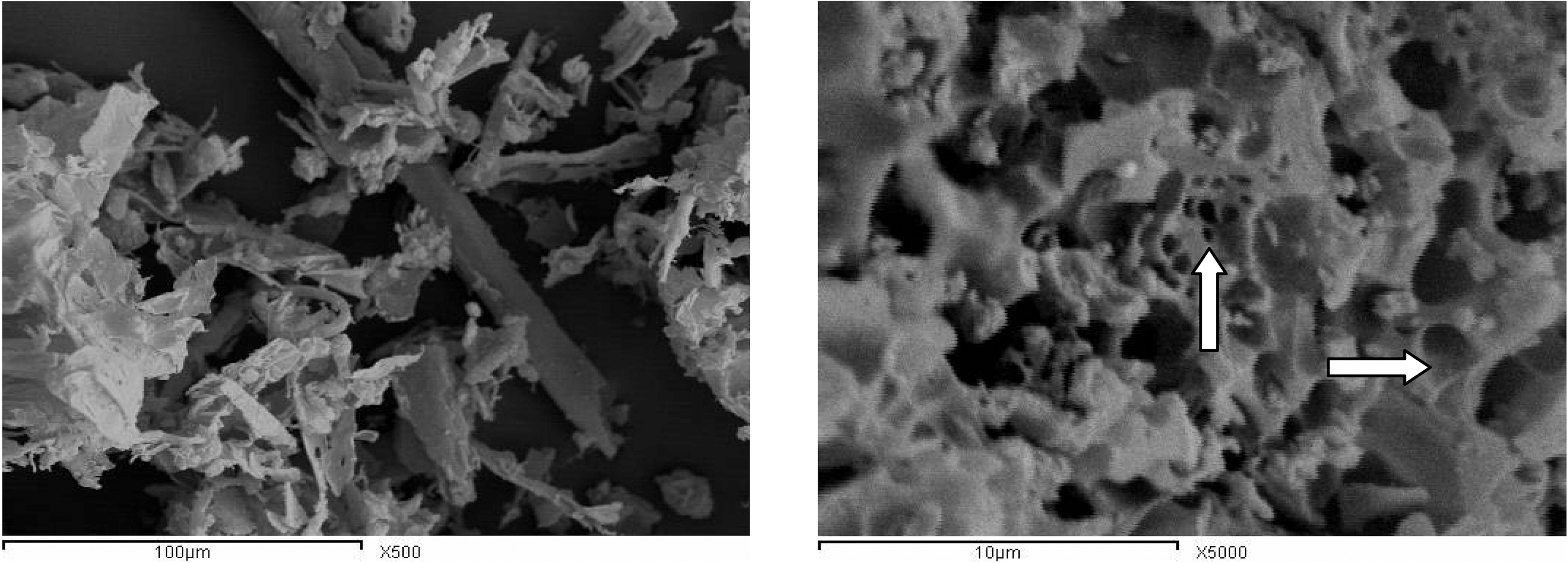 SEM micrographs of cotton stalks (left) and CCS-1K800 (right).