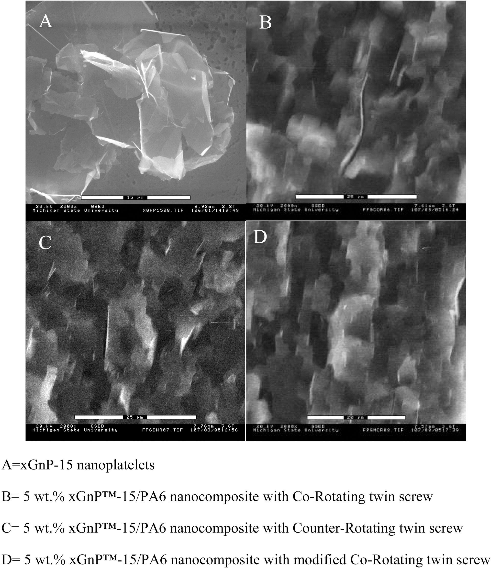ESEM morphology of 5 wt.% xGnP-15 reinforced PA6 nanocomposite.