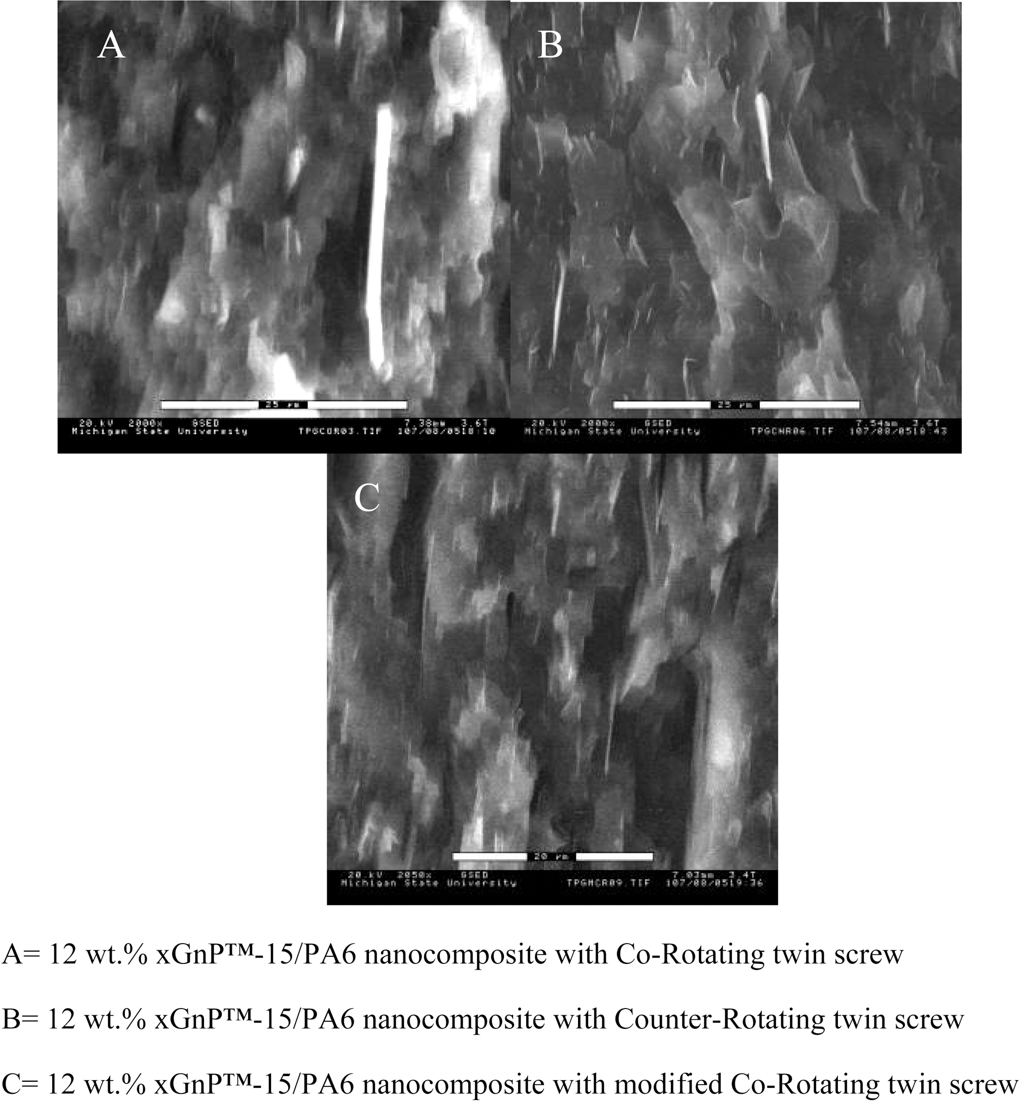 ESEM morphology of 12 wt.% xGnP-15 reinforced PA6 nanocomposite.