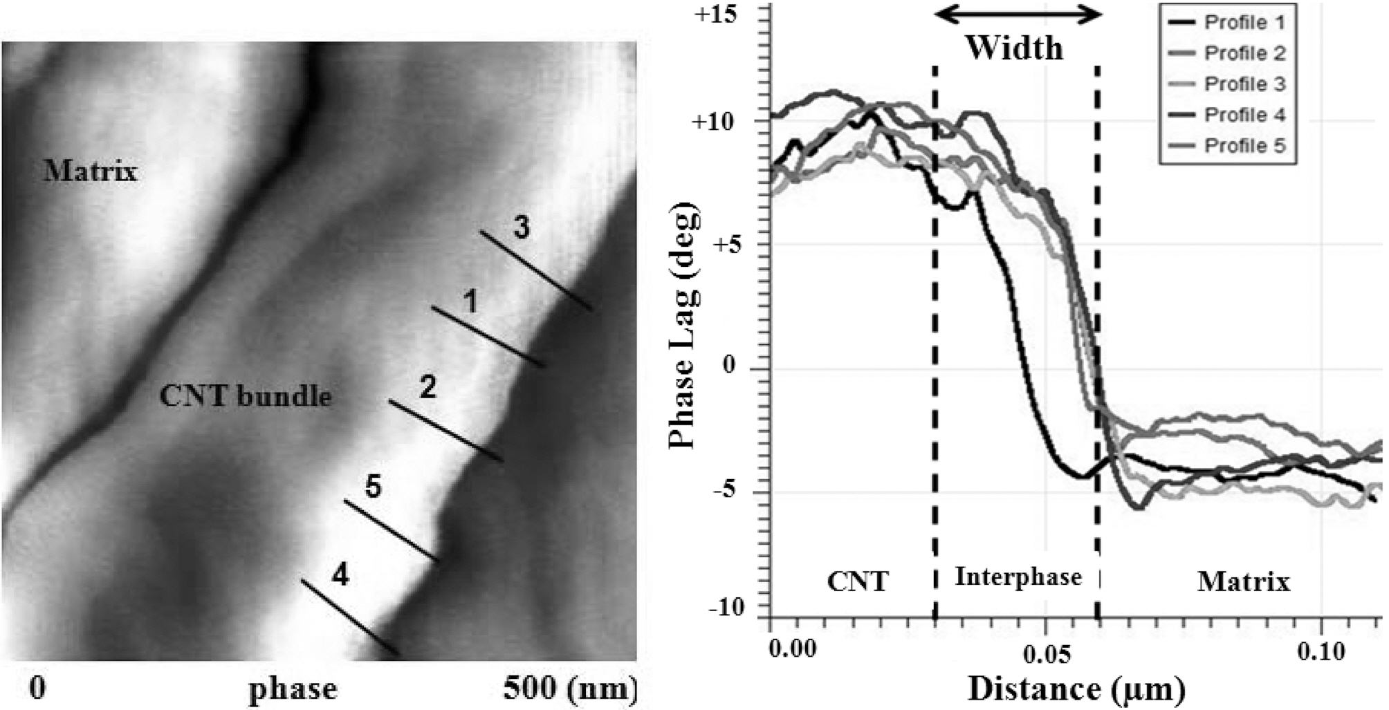 AFM phase image of 0.1 wt% CNT/PP composites: a) CNT bundle with profile lines along the interphase for which the phase lag is measured (1×1 ㎛2); and b) phase lag vs distance for the profile lines shown in a).