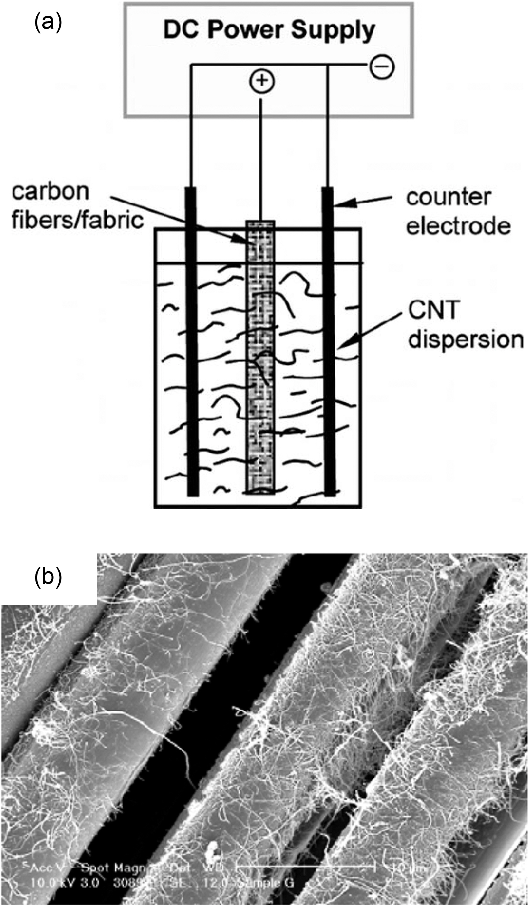 (a) Electrophoresis process for deposition of CNT on CNF and (b) CNF with MWCNT deposited by electrophoresis [55].