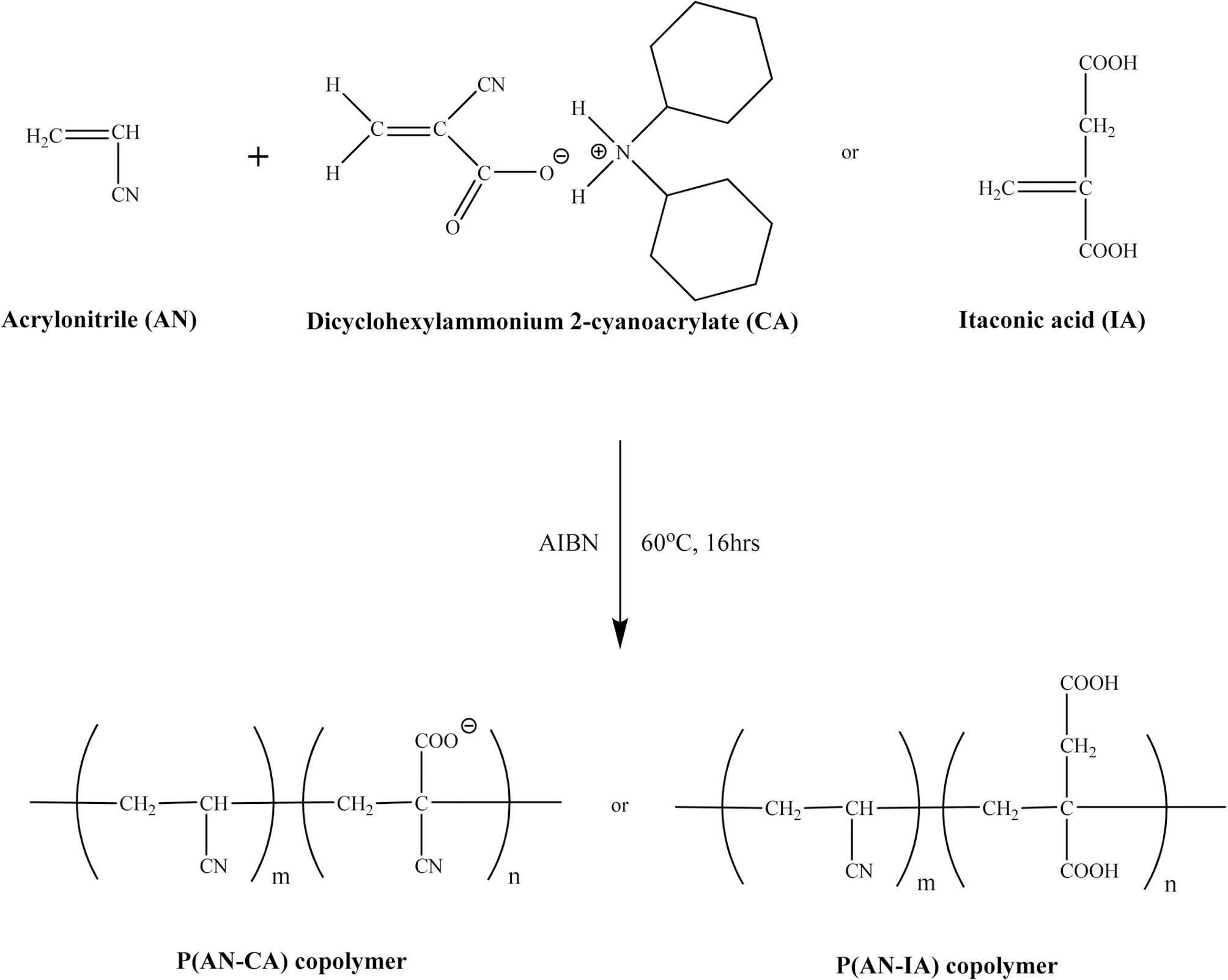 Polymerization scheme for P(AN-CA) and P(AN-IA)copolymers.