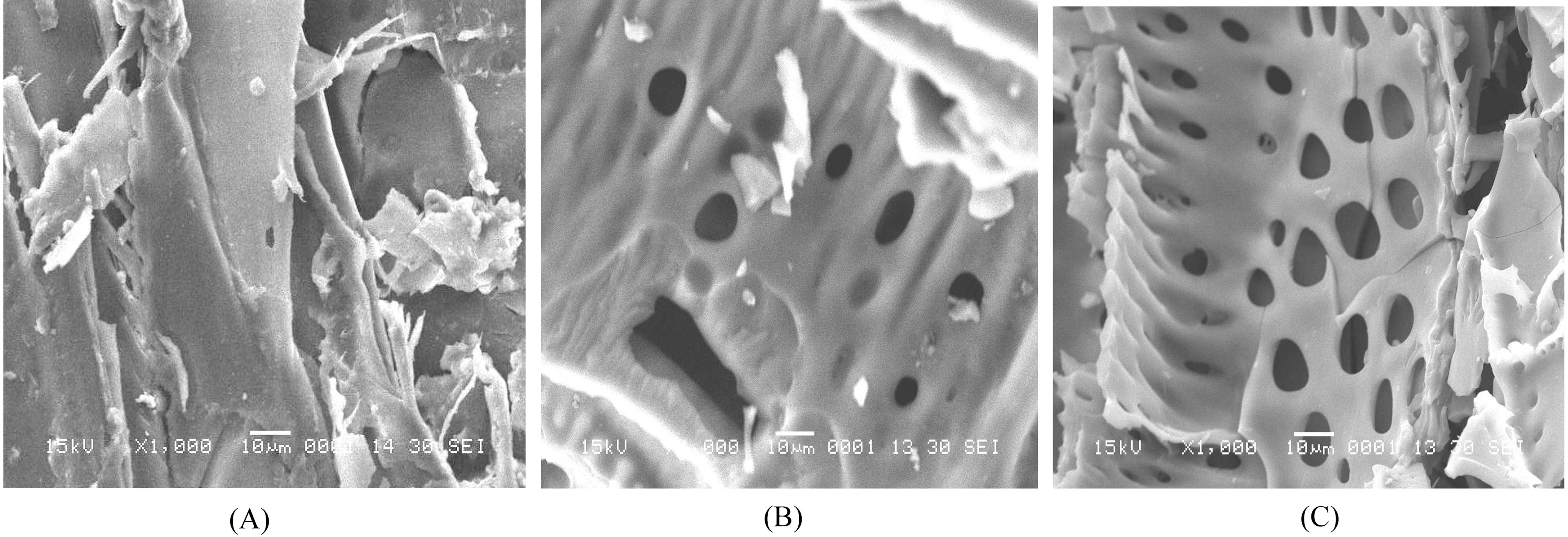 SEM photographs of H3PO4 activated carbon (A) Raw Adsorbent (B) MOAC1 (C) MOAC2.