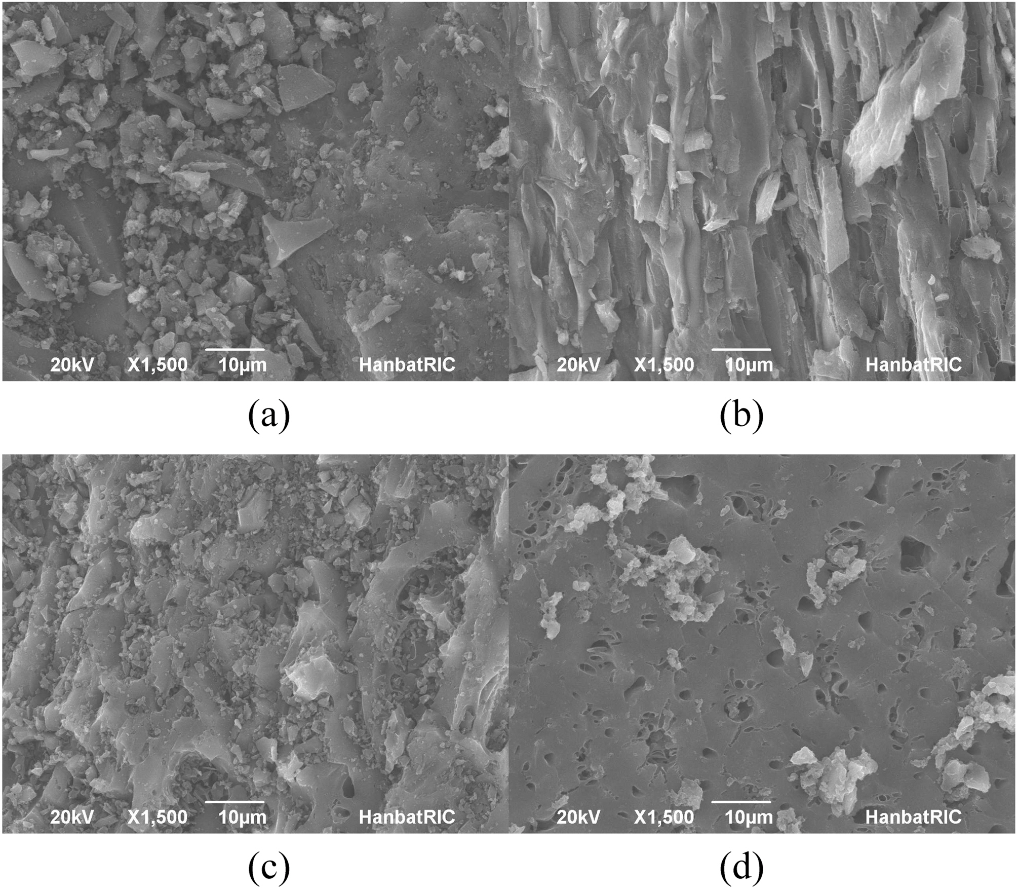 SEM microphotographs of (a) coconut-based AC (b) PVA/PAAc composite hydrogels containing coconut-based AC (c) coal-based AC and (d) PVA/PAAc composite hydrogels containing coal-based AC respectively.