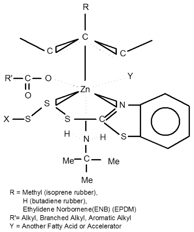 Zinc ion effect on cross-linking intermediate (p allyl complex)[20].