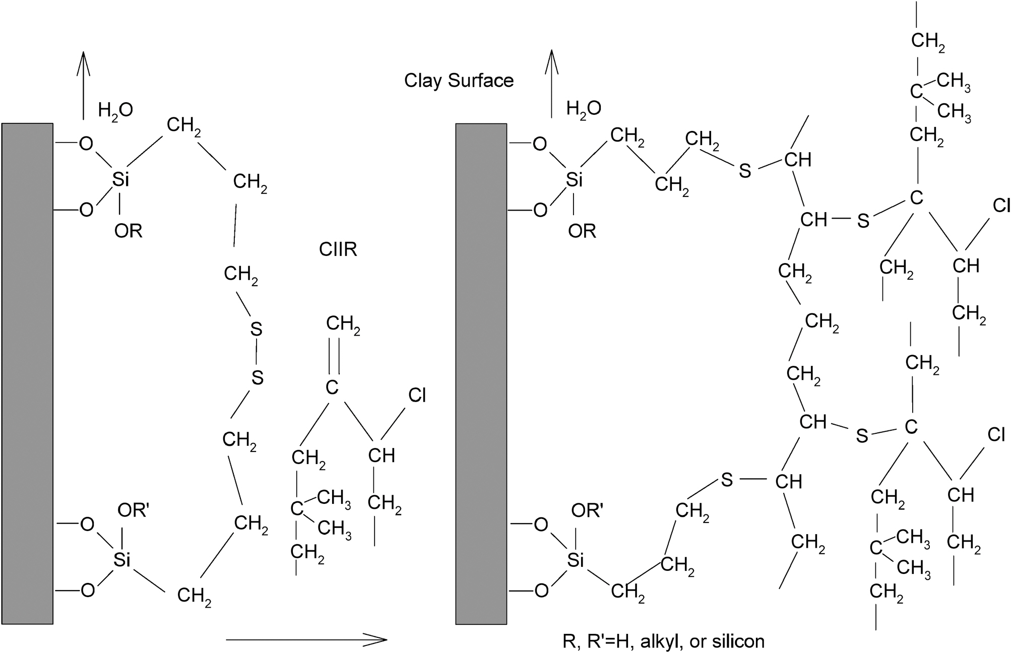 Clay-TESPD-CIIR 3-dimensional structure after vulcanization.
