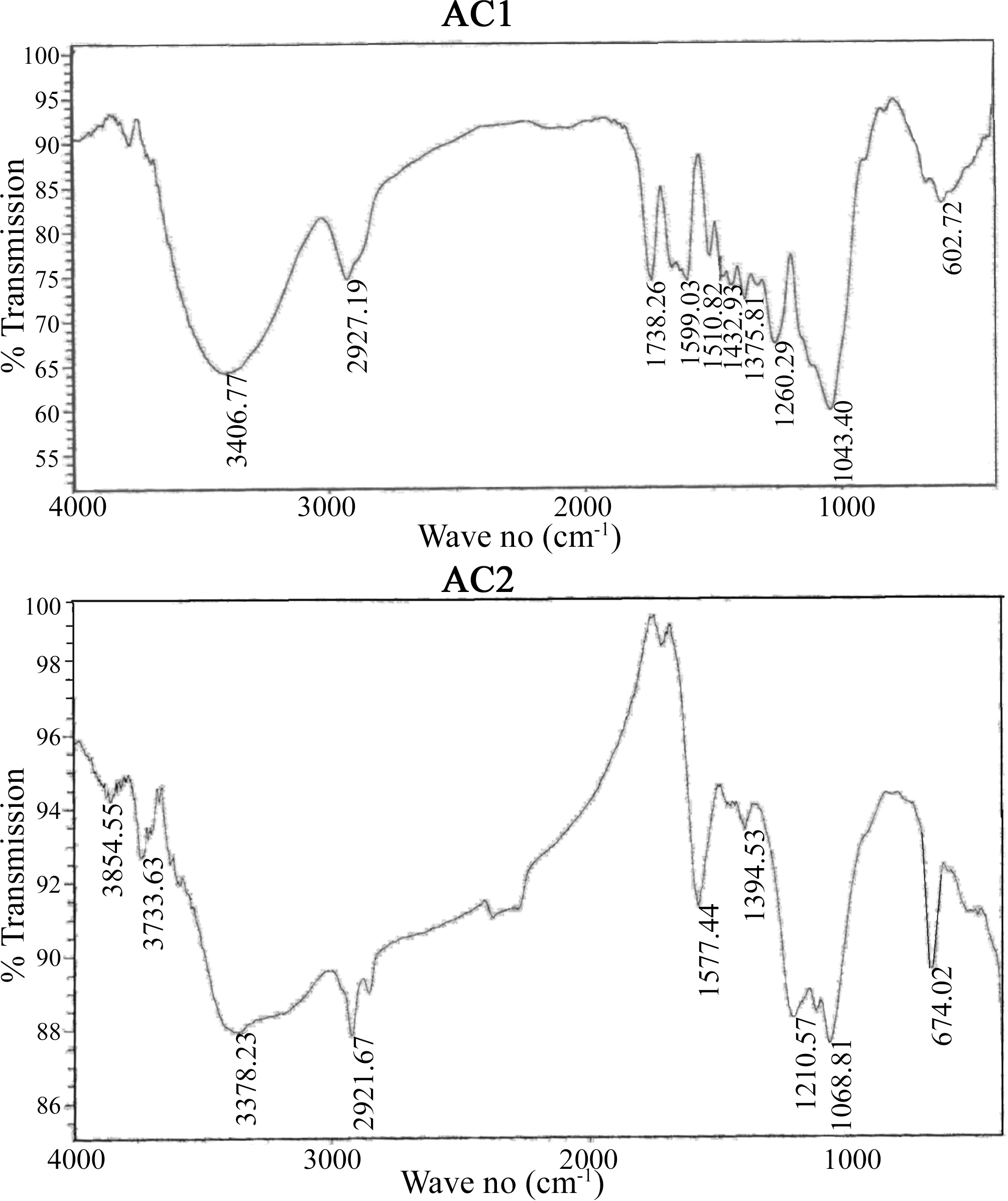 FTIR spectra of AC1 and AC2.