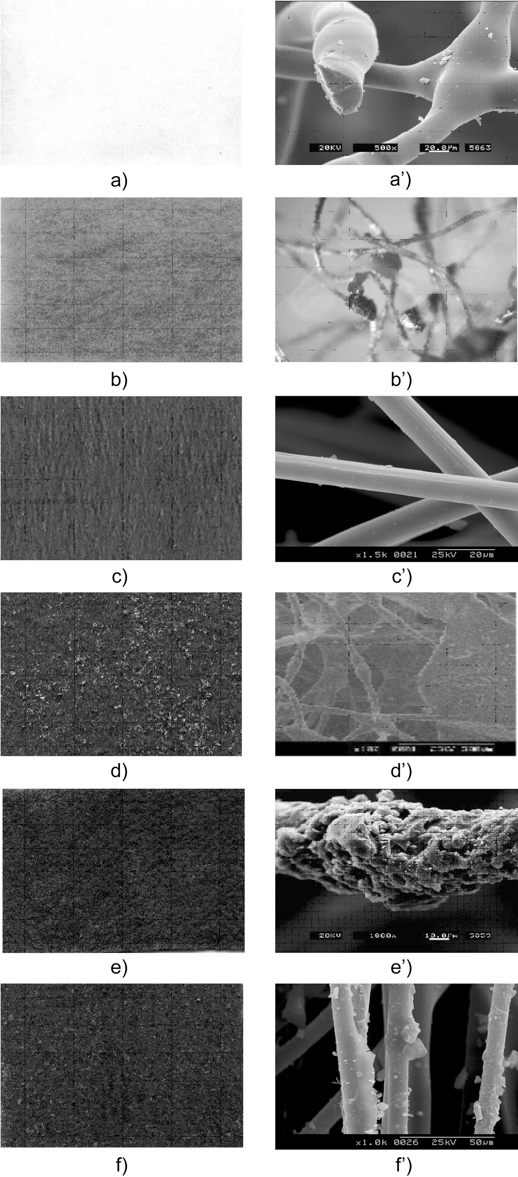 a) PE-nonwoven fabrics b) thermostable fabrics c)Sigri-thermospelz d~f) their AC-immobilized adsorption filters and :a’~ f’) thier magnification of SEM photos.