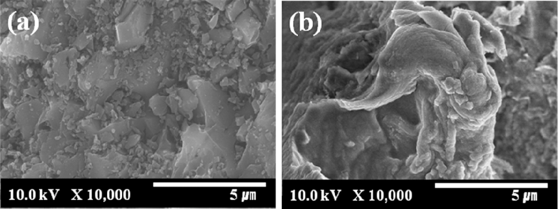 SEM microphotographs of (a) AC and (b) ALCH-AC.