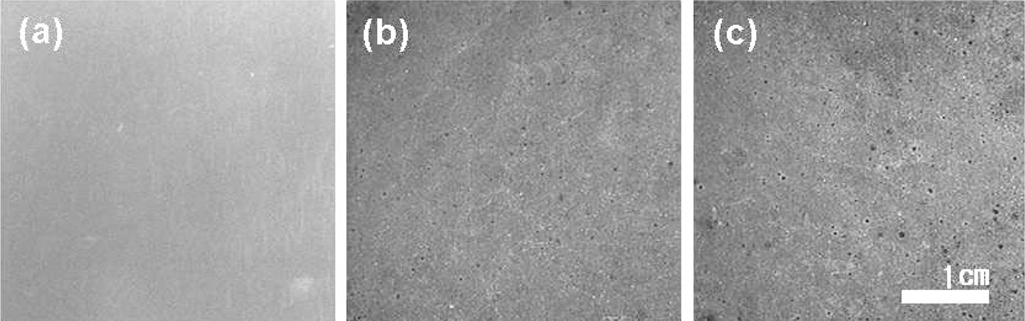 Overall surface images of IG-110 as a function of oxidation degrees; (a) 0% (b) 5% (c) 10% wt. loss.