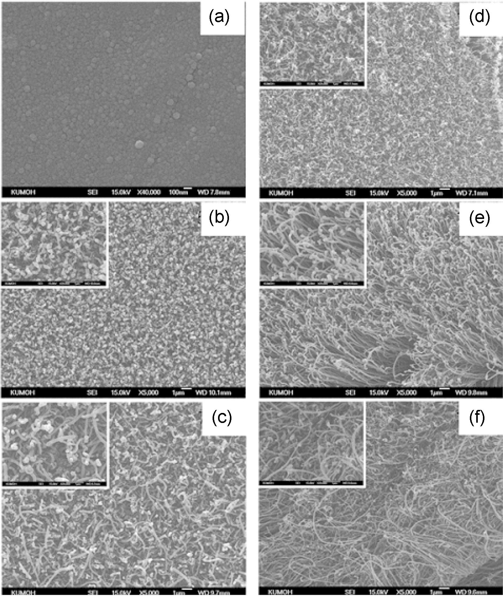 FE-SEM images of carbon nanotubes grown on 20 nm Ni catalyst at 300℃ for 10 min with an applied voltage of (a) 0 V (b) 50 V (c) 70 V (d) 100 V (e) 125 V and (f) 150 V (the insets are magnified images).