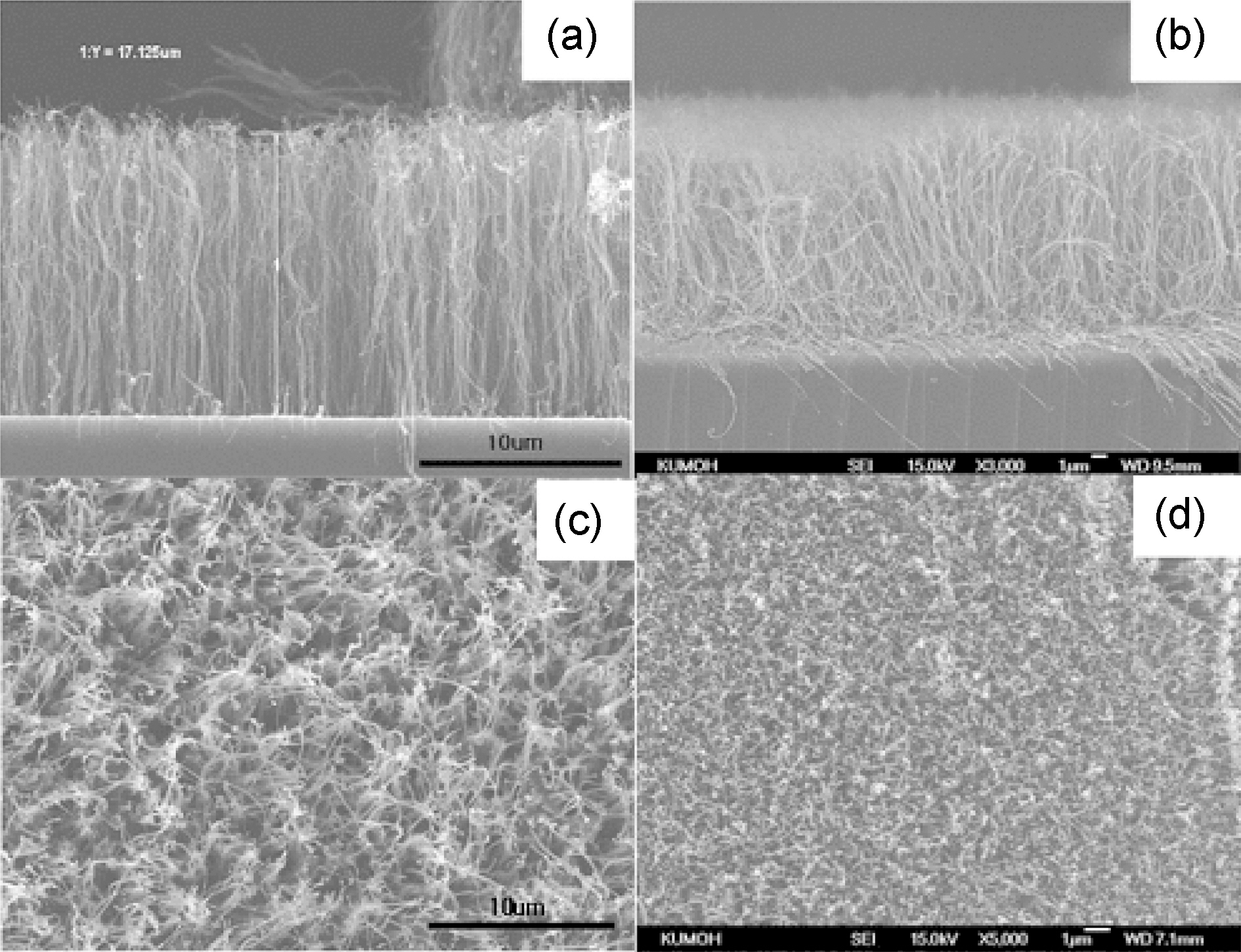 FE-SEM images of CNTs grown at (a)(c) 900℃ without local heating and (b)(d) 300℃ with local surface heating by applied voltage of 125 V.