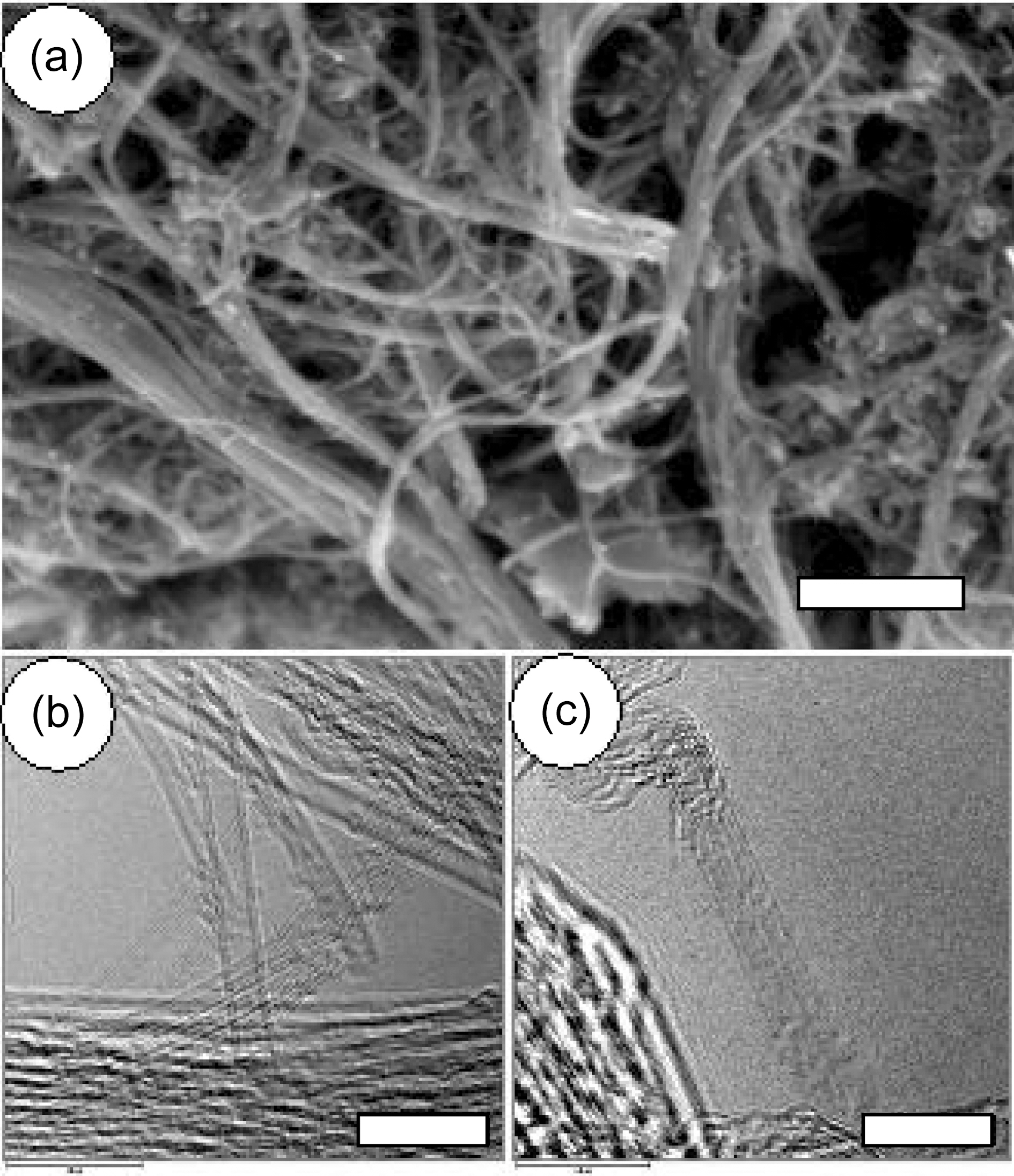 (a) SEM image of carbon nanotubes (scale bar: 200 nm). (bc) TEM image of carbon nanotubes (scale bars: 10 nm).
