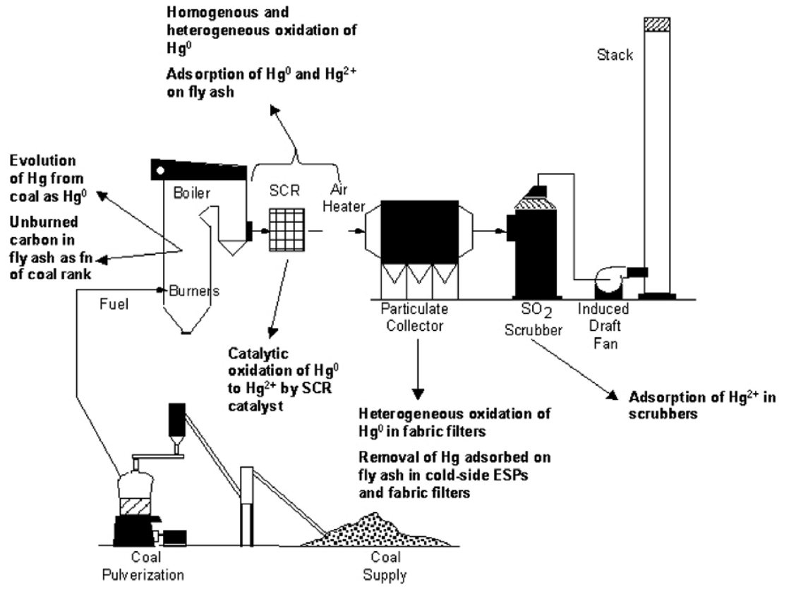 Diagram of a coal-fired power plant illustrating the critical pathways for Hg transformation [61].