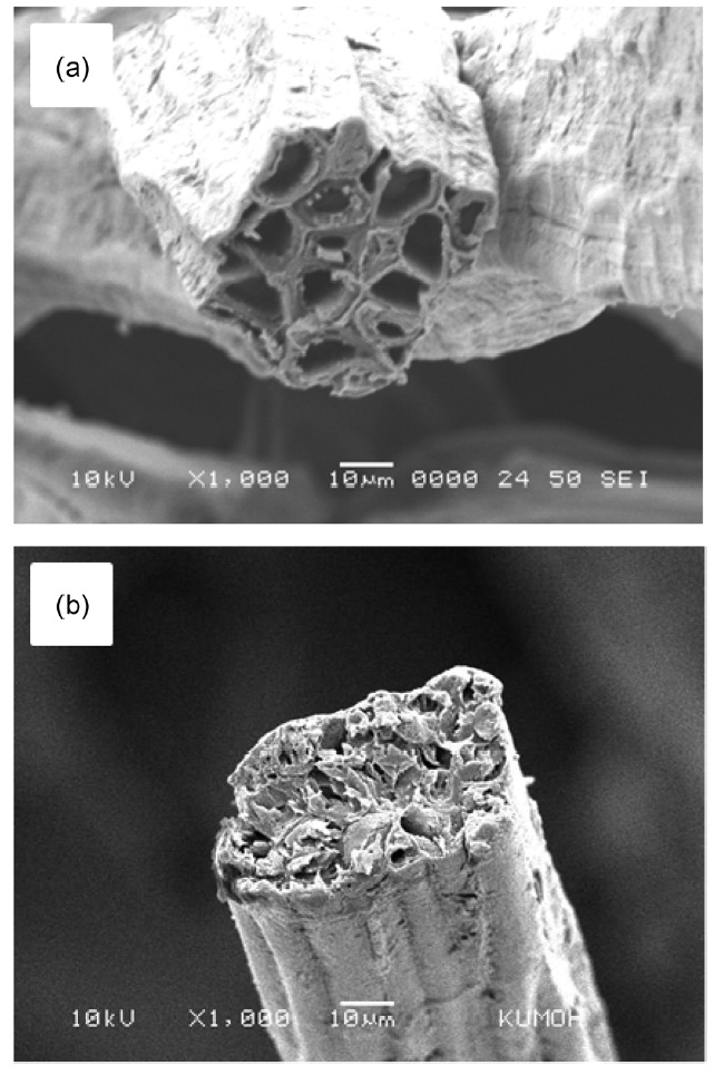 Scanning electron microscopy micrographs showing the crosssections of (a) raw and (b) 15 wt% NaOH-treated kenaf fibers.
