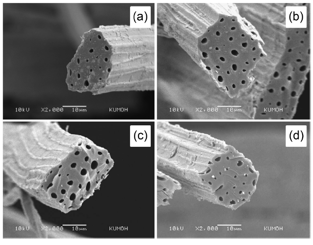 Scanning electron microscopy micrographs showing the crosssections of untreated and pre-treated kenaf fibers carbonized at 700℃: (a) untreated (b) 5 wt% NH4Cl (c) 10 wt% NH4Cl and (d) 15 wt% NH4Cl.