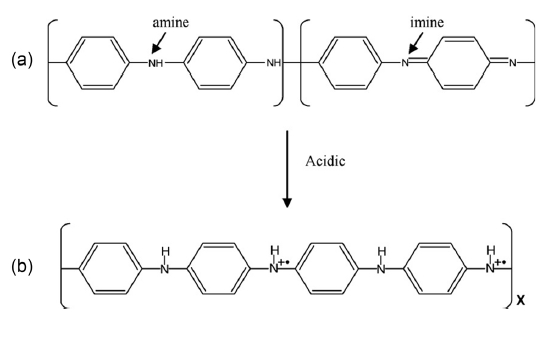 Scheme of two different emeraldine classes of polyaniline (PANI): (a) a non-conducting emeraldine base form of PANI and (b) a conducting emeraldine salt form of PANI.