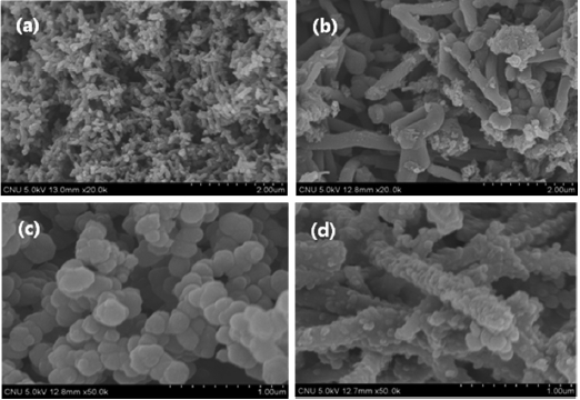 Field-emission scanning electron microscopy images of (a) PANI (b) PANI/MWCNT (c) PPy and (d) PPy/MWCNT. PANI: polyaniline MWCNT:multiwalled carbon nanotube PPy: polypyrrole.